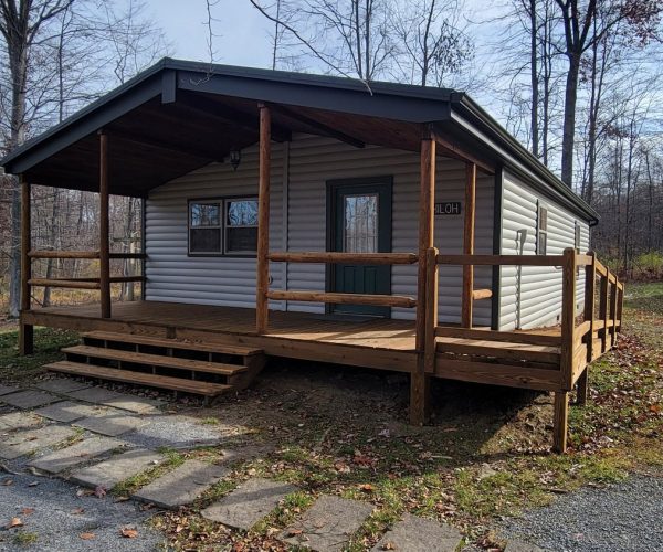LogCabins2