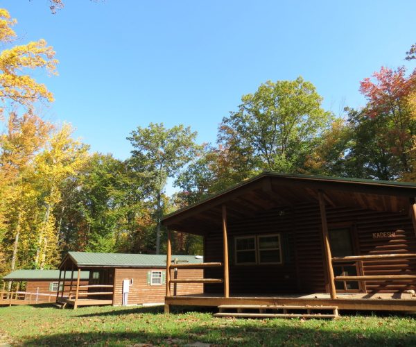 LogCabins5