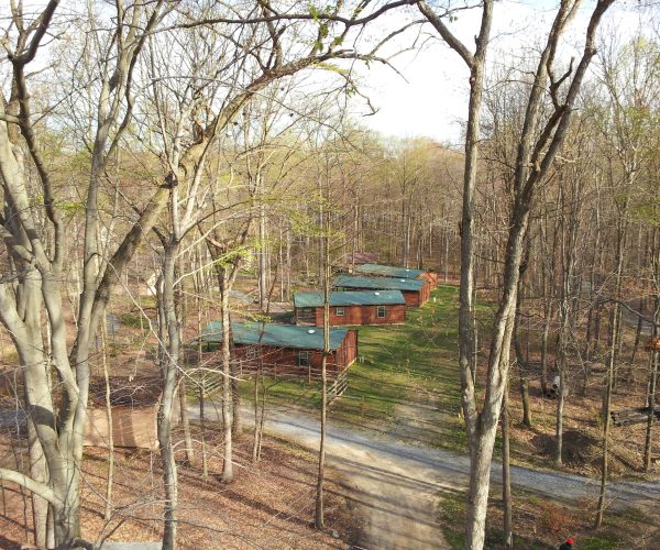 LogCabins6